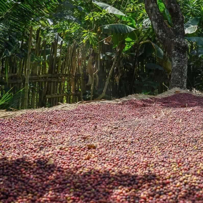 ETHIOPIE LEKEMPTI
