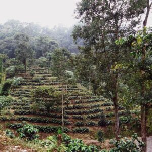 GUATEMALA Kitche