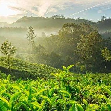 MALABAR