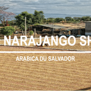 EL NARANJO