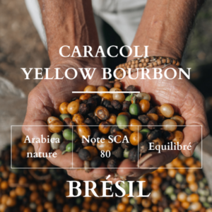 Caracoli Yellow Bourbon