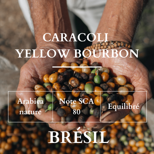 1 Caracoli Yellow Bourbon