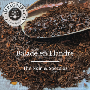17 Balade en Flandres