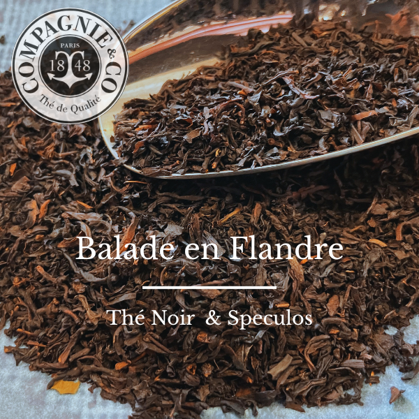 Balade en Flandres
