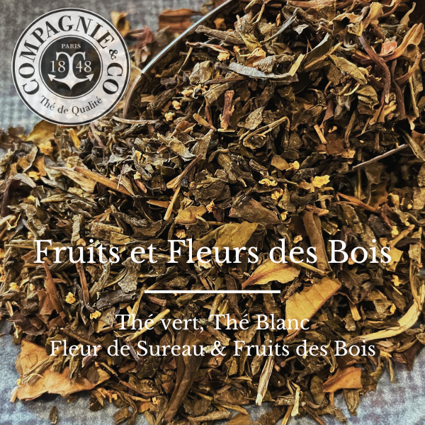 26 Fruits et fleurs des bois