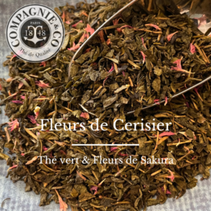28 Fleur de cerisier