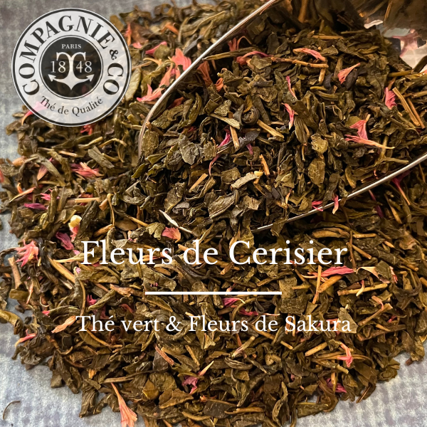 Fleur de cerisier