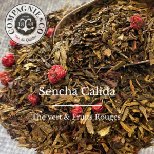 Sencha calida