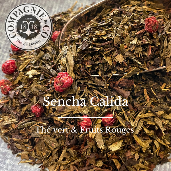 31 Sencha calida