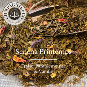 Sencha printemps