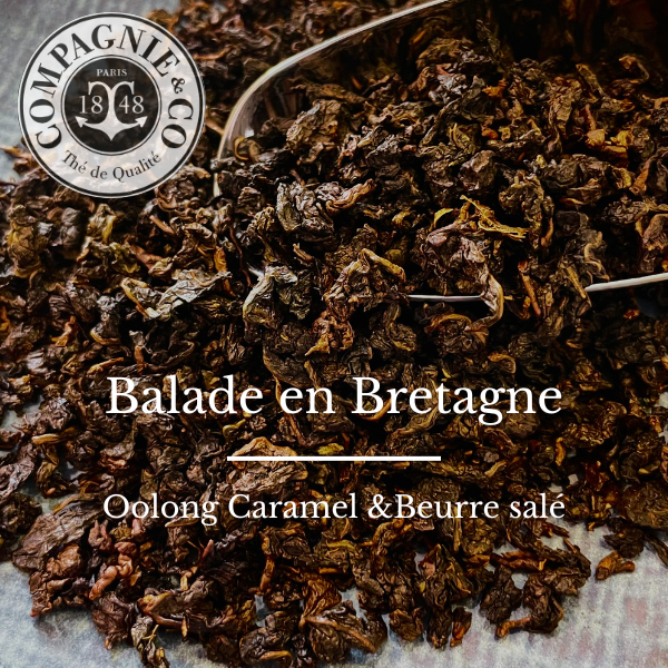 Balade en Bretagne