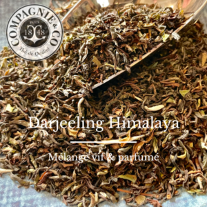 Darjeeling Himalaya