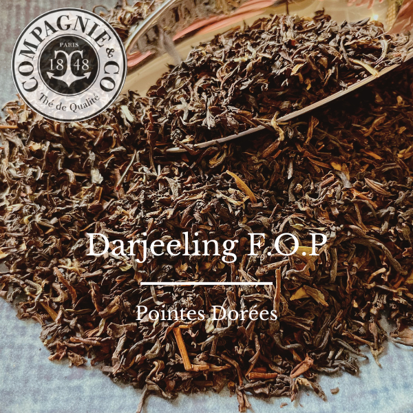 50 Darjeeling FOP
