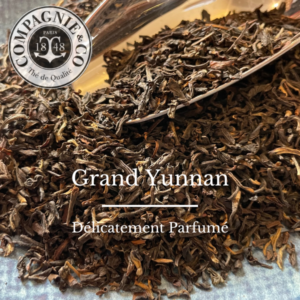 Grand Yunnan