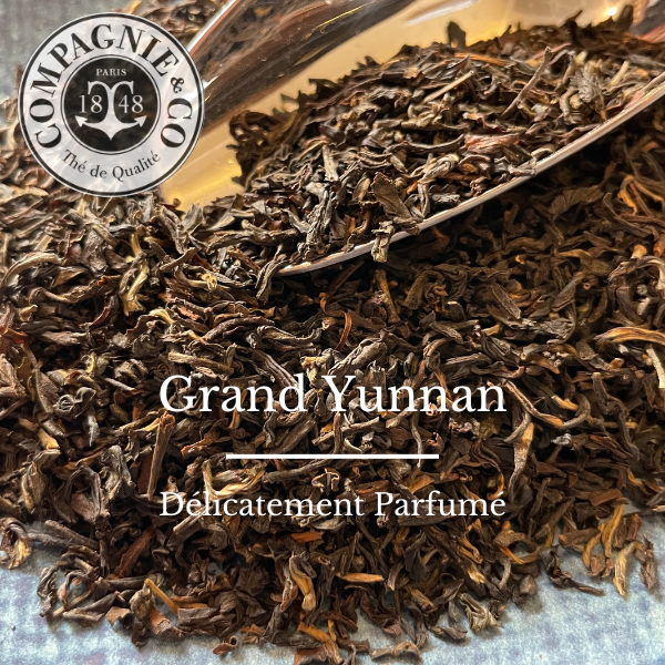 51 Grand Yunnan