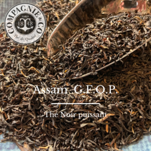 Assam GFOP