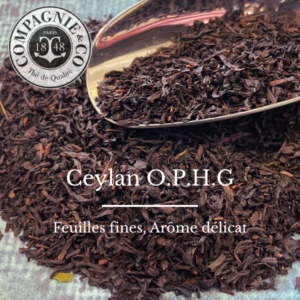 Ceylan OPHG