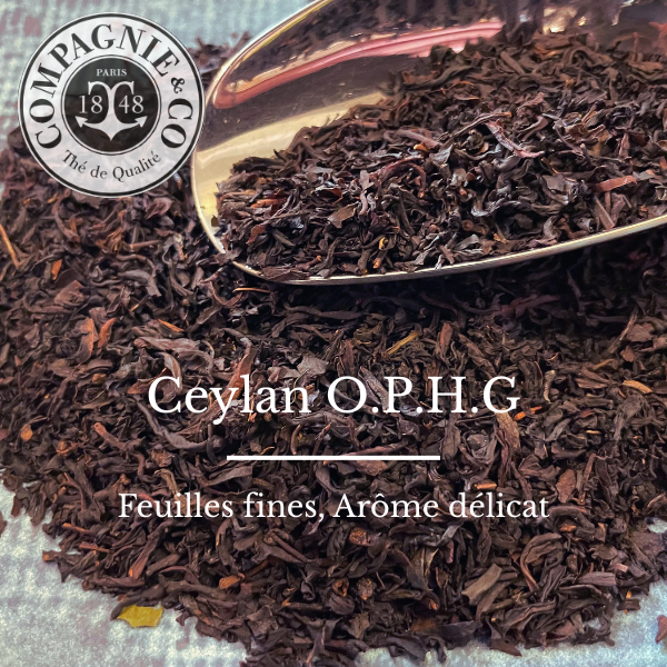Ceylan OPHG