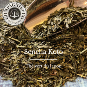 Sencha Koto