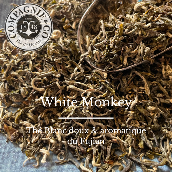 White monkey