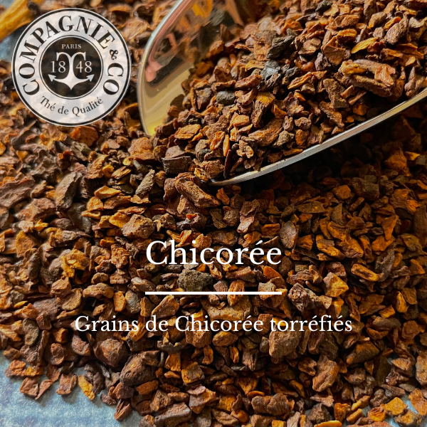 Chicorée