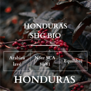 SHG biologique
