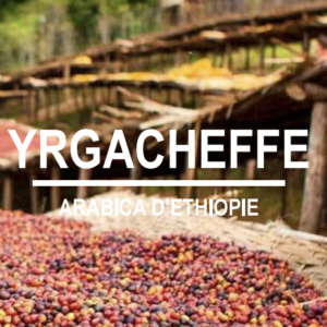 YRGACHEFFE