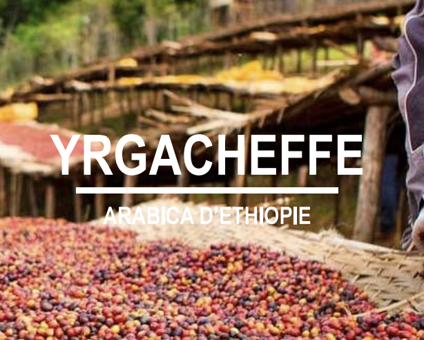 YRGACHEFFE